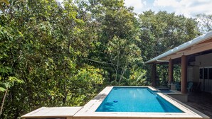Une piscine rectangulaire, bordée d’une terrasse carrelée et entourée d’une végétation luxuriante.
