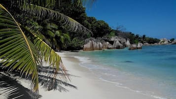 Plage à proximité