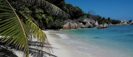 Plage à proximité