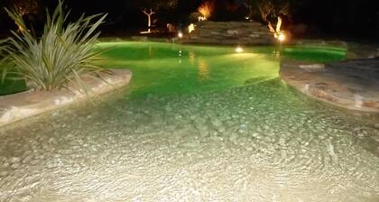 Laissez vous séduire par le charme et les vertus de la Provence