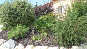 A garden with various plants and a white cat sitting on the ground. - Provence, its lavender, the song of the cicadas, the sun ... Let yourself be seduced ... (Carpentras)