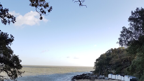 Strand