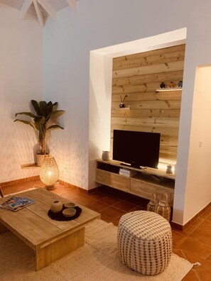 电视、DVD 播放器、书、立体声音响