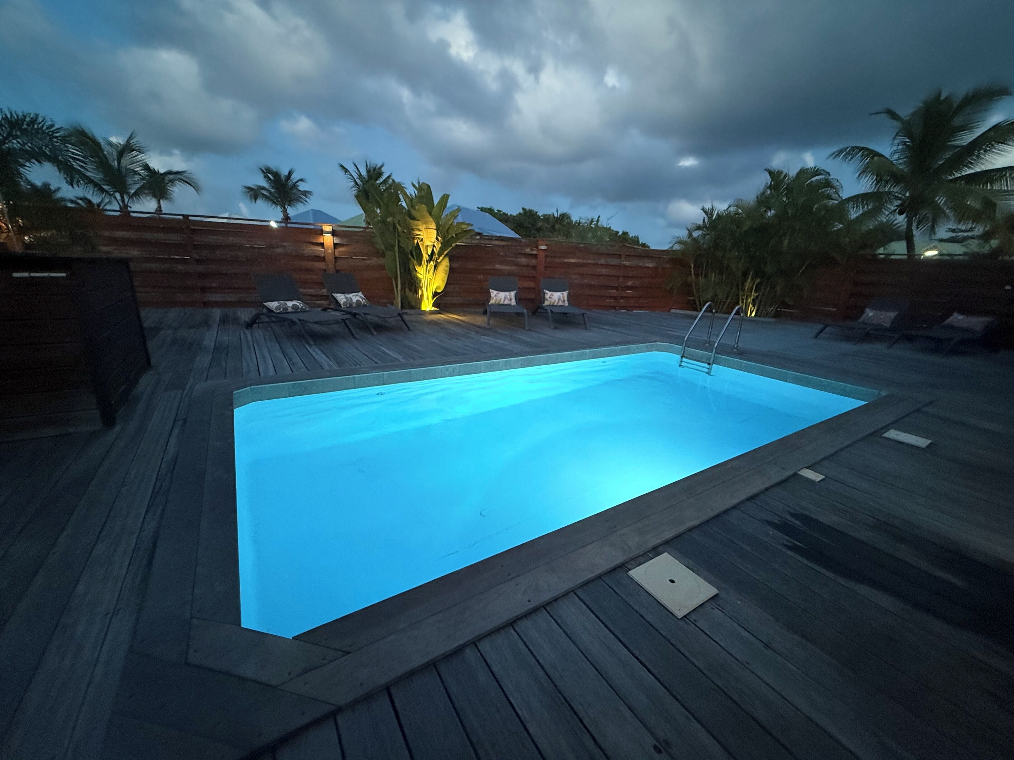 Una piscina rectangular con un deck de madera alrededor, equipada con una escalera y palmeras al fondo.