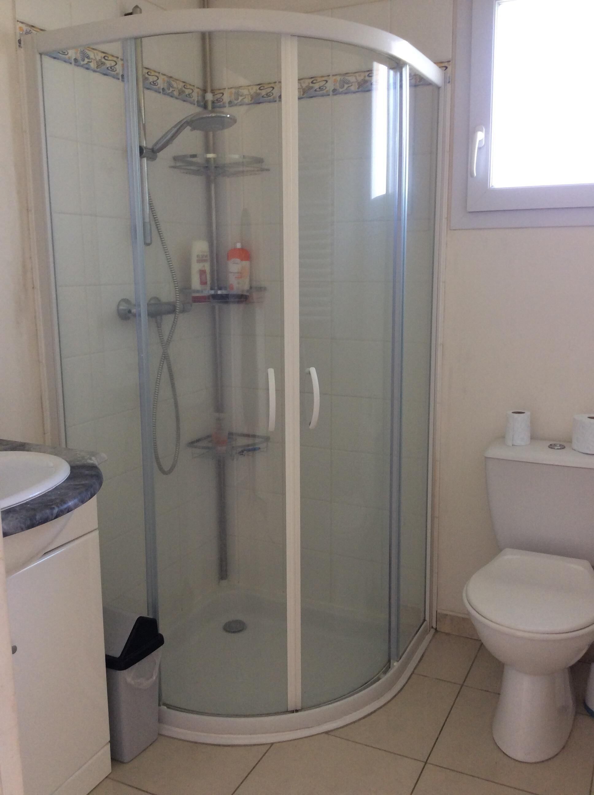 A bathroom with a glass-enclosed shower, a toilet, and a sink with a marble countertop.