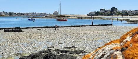 Plage à proximité