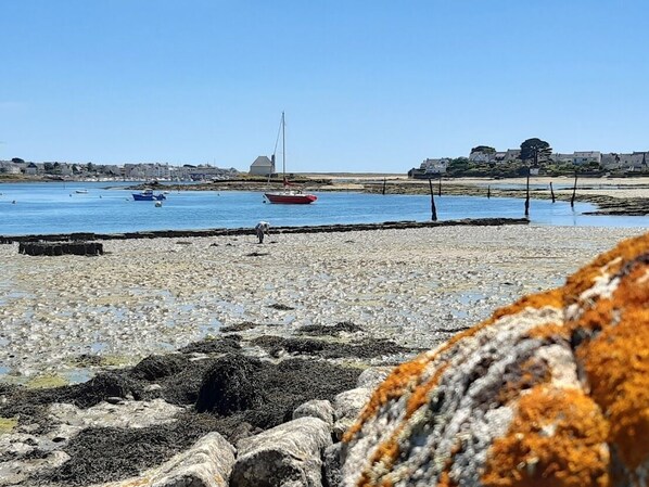 Plage à proximité