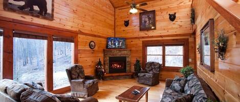 TV, fireplace, video games, DVD player