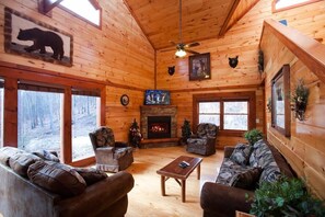 TV, fireplace, video games, DVD player