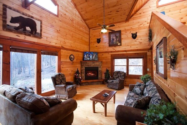 Televisión, chimenea, videojuegos y reproductor de DVD 