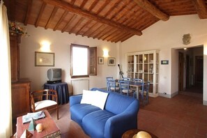 Fernseher, Kamin, DVD-Player, Bücher