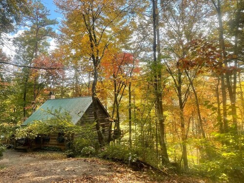Cabin on White Water Toccoa River!
