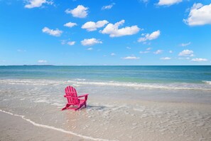 On the beach - Beach, Sand, Sun! (Indian Rocks Beach)