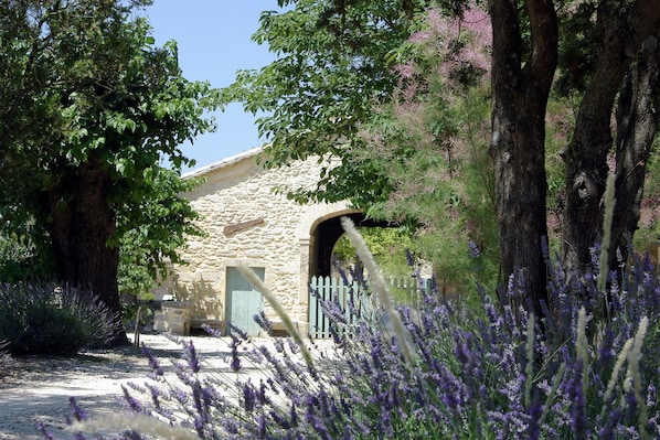 Un bâtiment en pierre doté d’une entrée rustique, entouré d’arbres et de plantes de lavande.