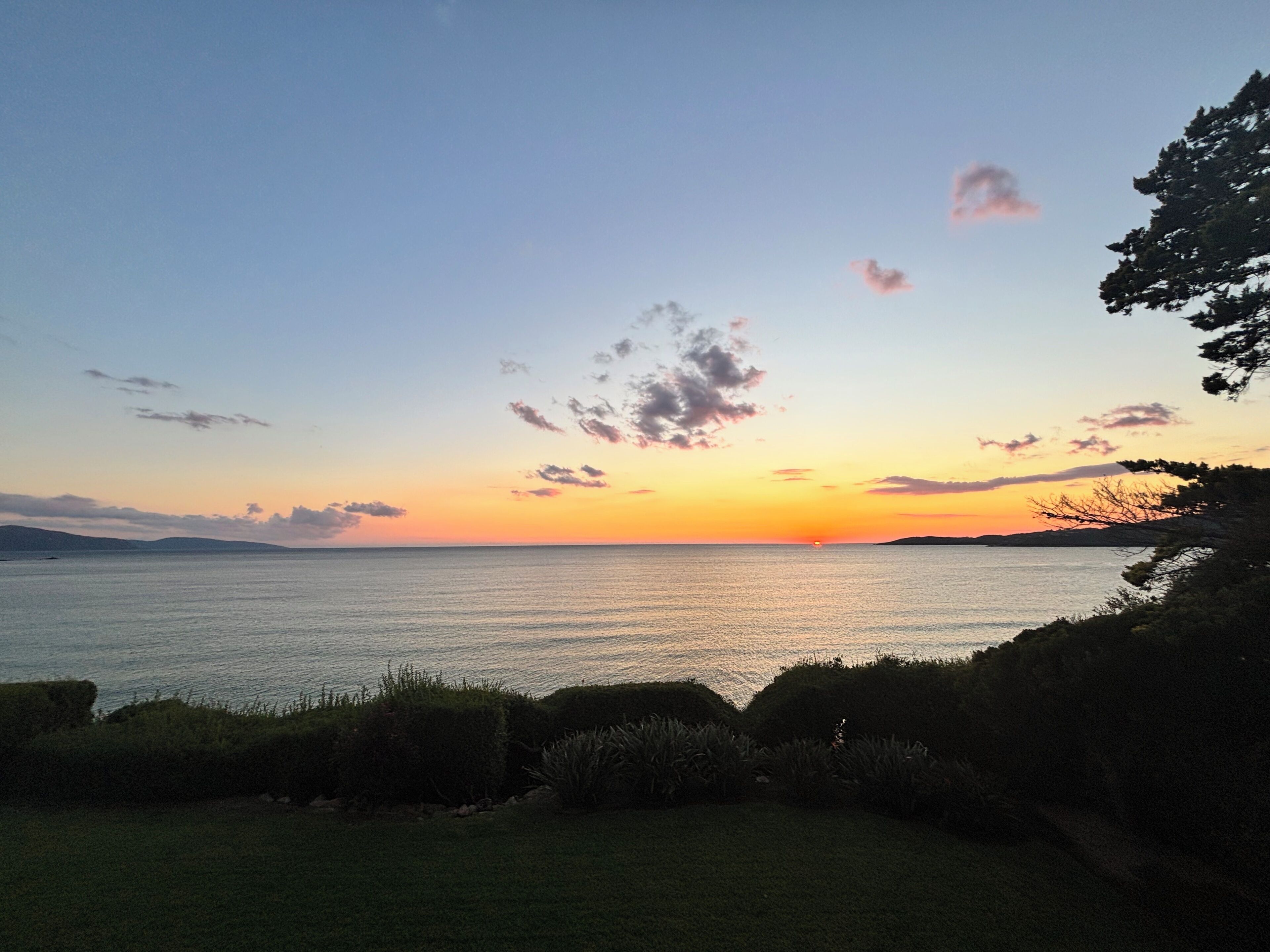 Ein Sonnenuntergang über ruhigem Gewässer, im Hintergrund eine Küstenlinie und im Vordergrund einige Pflanzen.