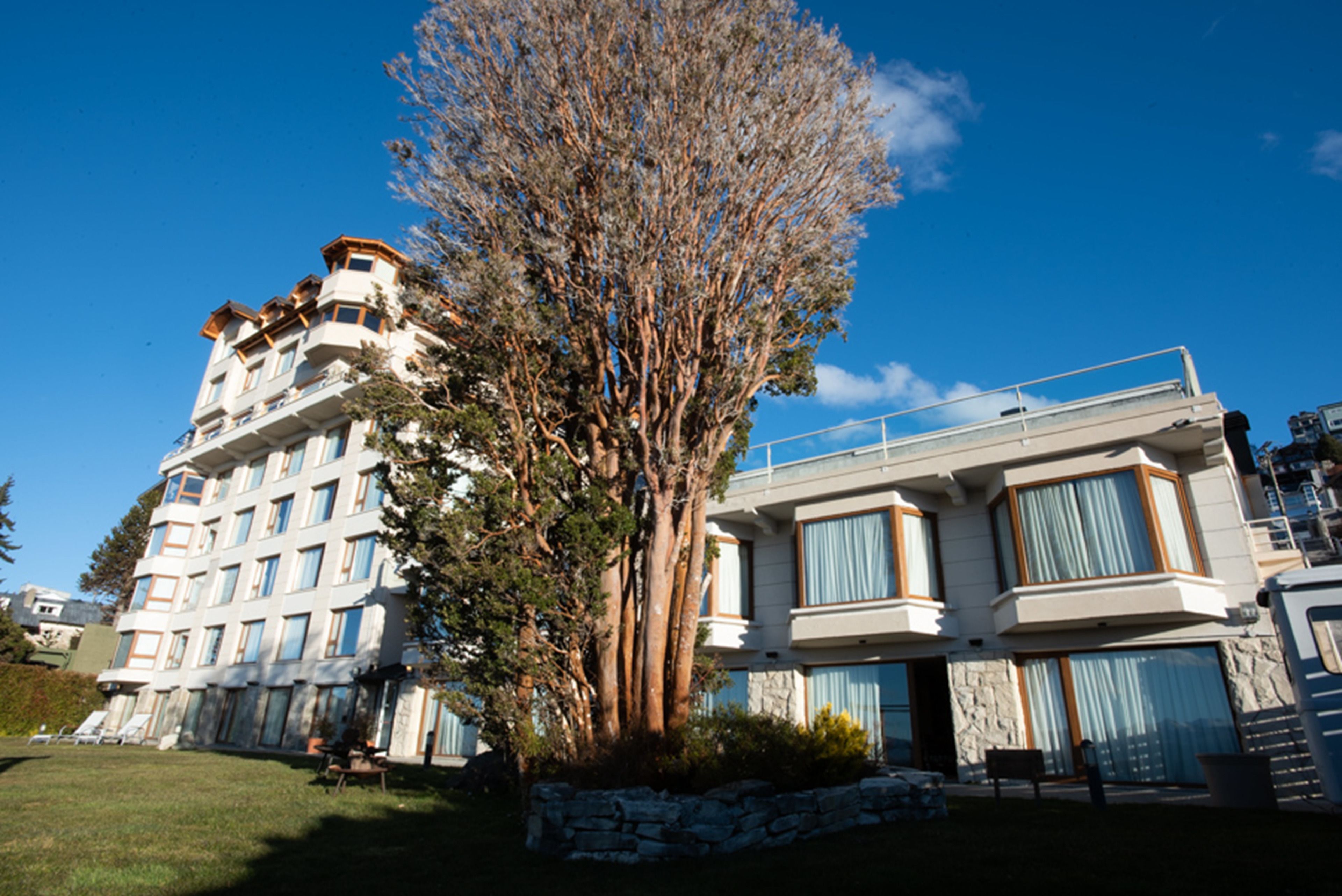 A multi-story hotel with a large tree in the foreground, stone retaining walls, and a clear blue sky.