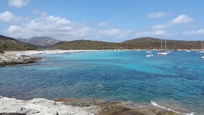 Playa en los alrededores 