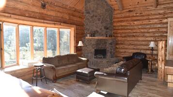 Smart TV, DVD player, video library