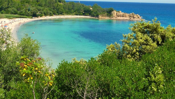 Un paysage côtier avec une plage, des eaux turquoise et limpides, et une végétation luxuriante.