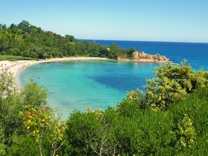 Un paisaje costero con playa, aguas turquesas cristalinas y exuberante vegetación.