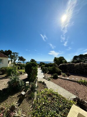 Property grounds - Seafront villa, Canella beach 800m far, pool, 4 persons, fully equipped (Sari-Solenzara)