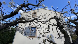 A building with a window and a door, surrounded by blooming trees.