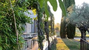 A garden area with a paved walkway, a table and chairs, and a variety of plants and trees.