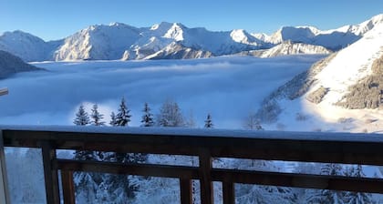 Charming apartment 40 m2 / 4 p classified 3 *** old district Alpe, magnificent view