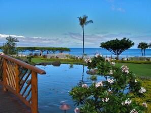 View from property - Sea, beach and courtyard views - prime location (Lahaina)