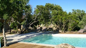 Ein Schwimmbecken, umgeben von Bäumen und einer Holzterrasse.