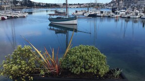 Uma marina com vários barcos atracados, rodeada por edifícios e vegetação.