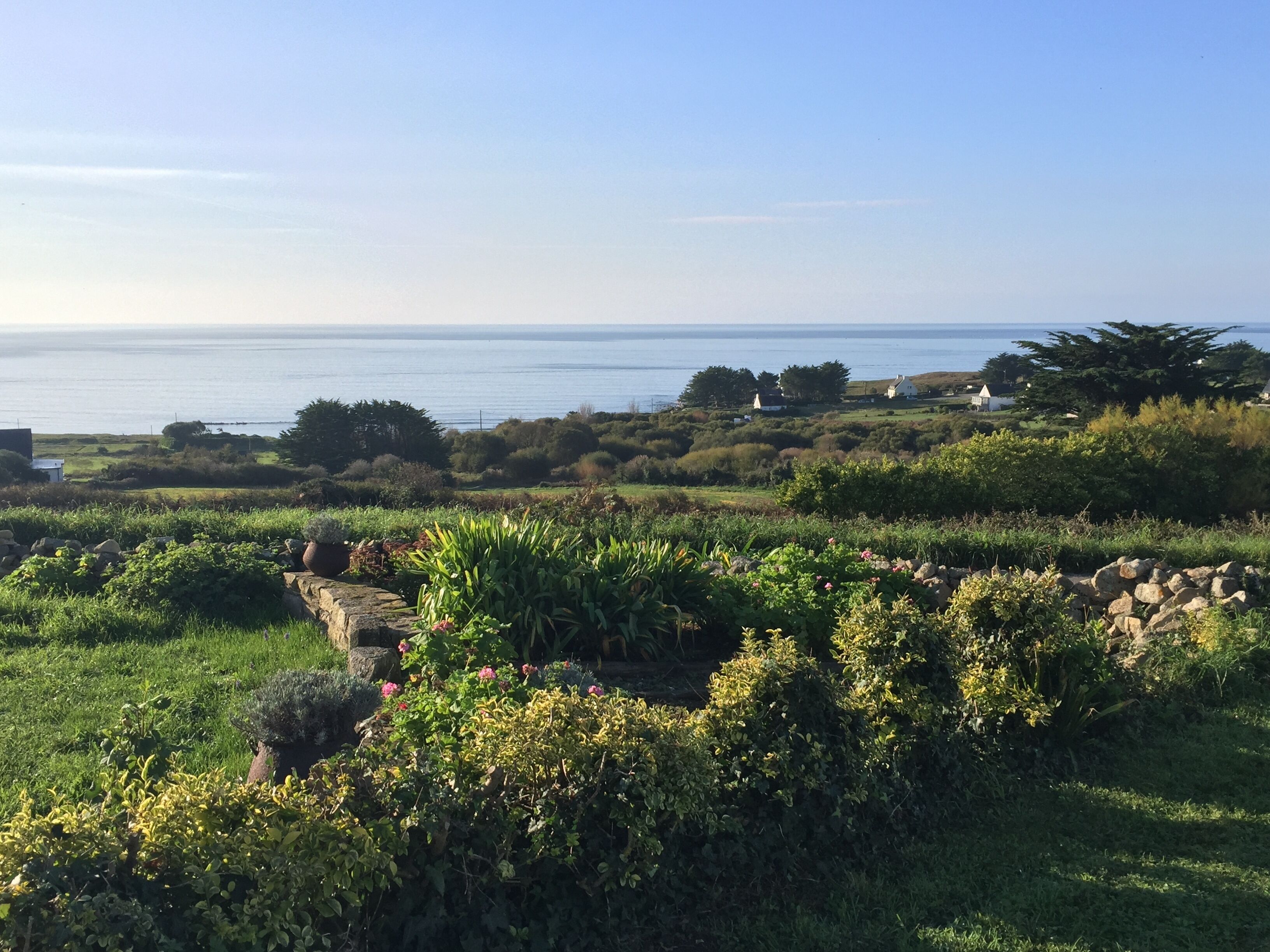 A coastal landscape with a grassy area, some shrubs, and a view of the sea.