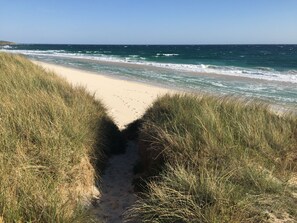 Un camí de sorra que condueix a l'oceà, envoltat d'herba alta.