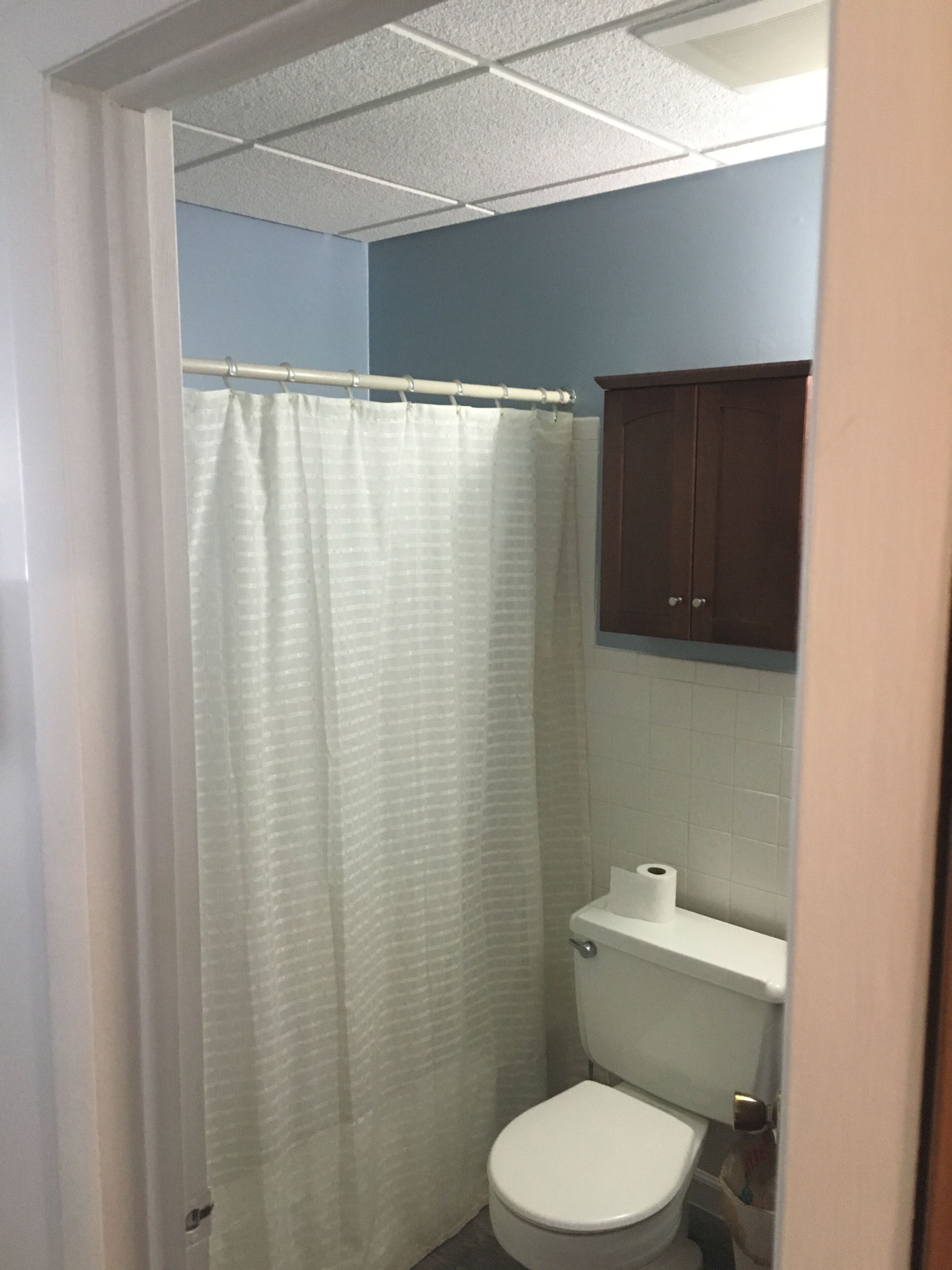 Une salle de bain avec un rideau de douche, des toilettes et un meuble.