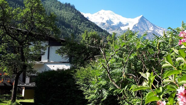 Blick auf ein Gebirge mit einem Gebäude im Vordergrund, umgeben von Grünpflanzen und Blumen.