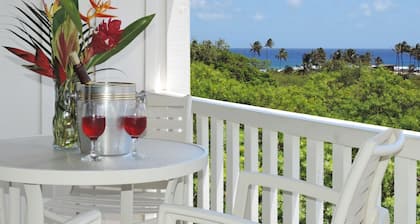Kiahuna Plantation partial OceanView,top floor,4 min walk to beach, pool,gym,+AC