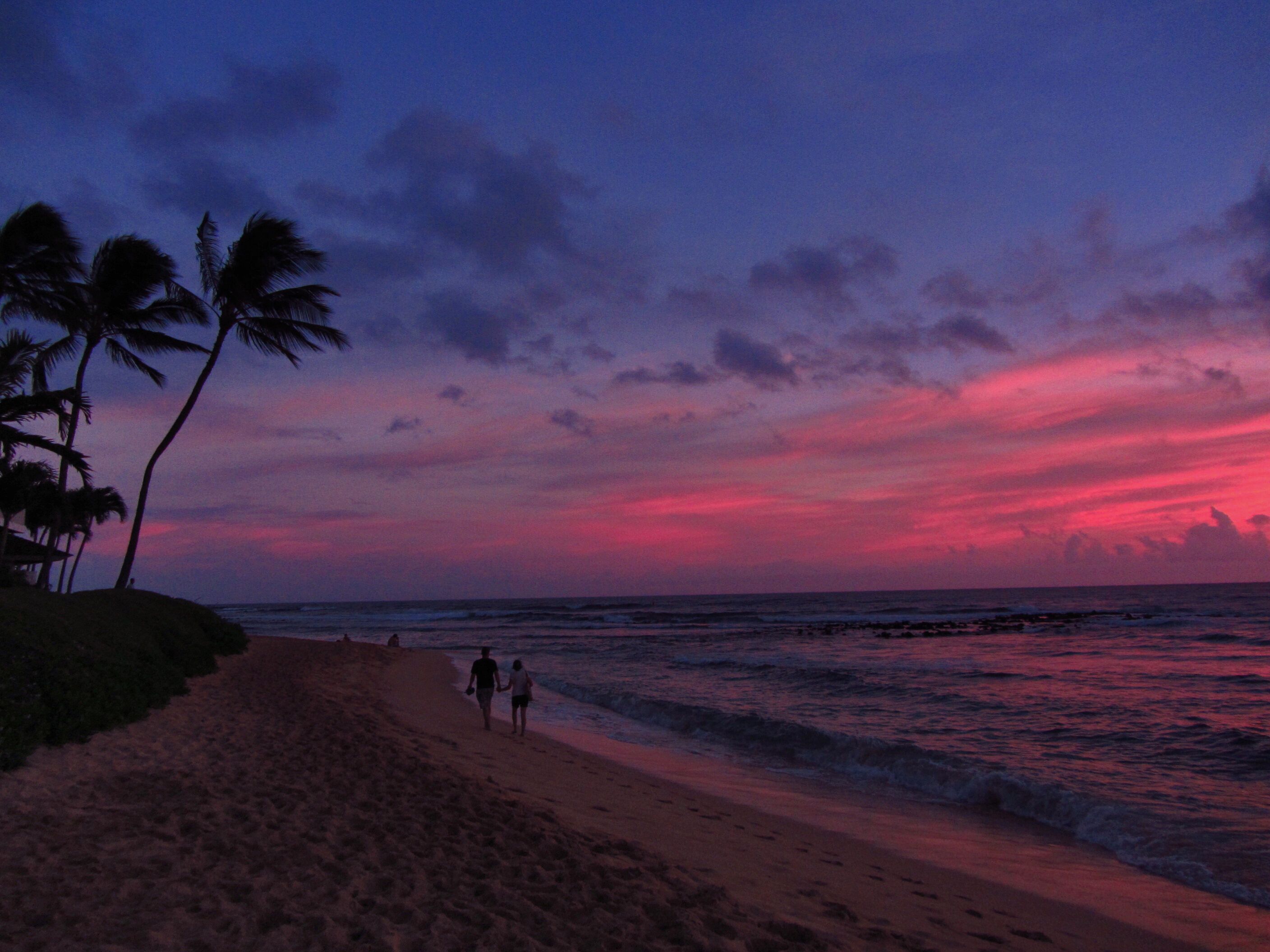A beach with palm trees and a sunset.
