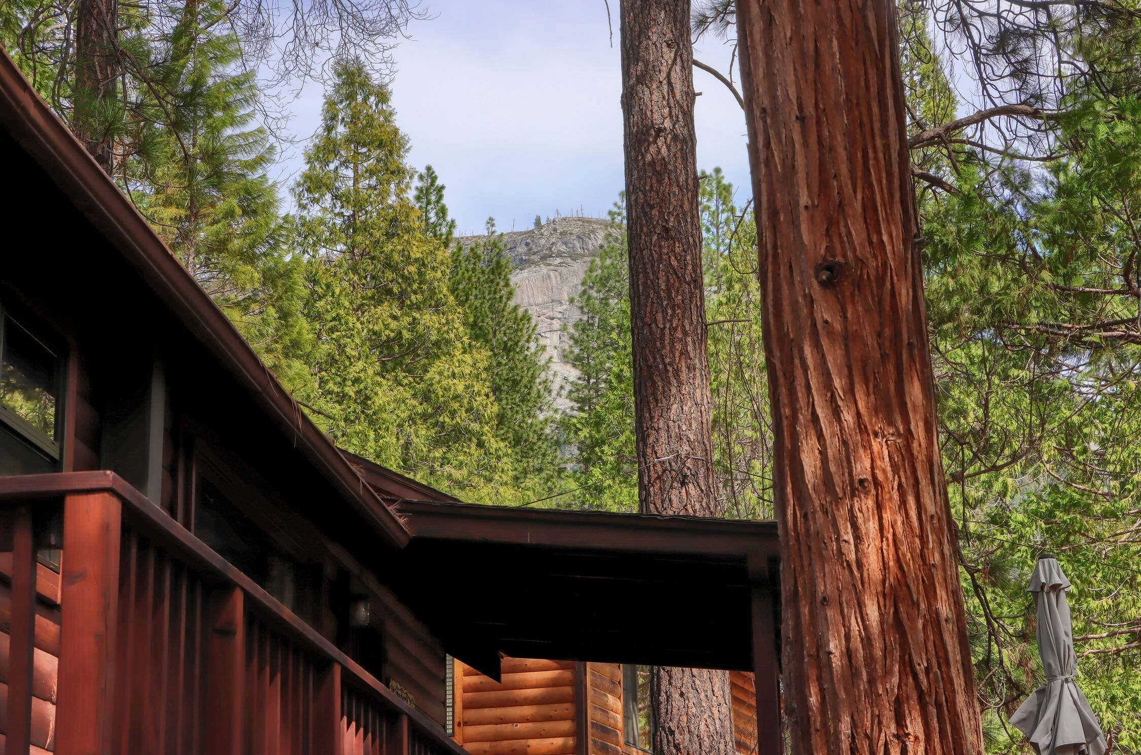 Une cabane en bois offrant une vue sur de grands arbres et, au loin, sur une montagne rocheuse.