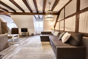 TV, DVD player - Family gîte in winegrower's house - Charlotte 6 persons (Gertwiller)