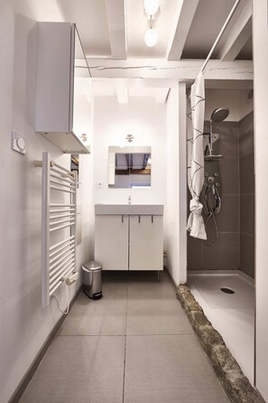 Shower, hair dryer, towels, toilet paper - Family gîte in winegrower's house - Charlotte 6 persons (Gertwiller)