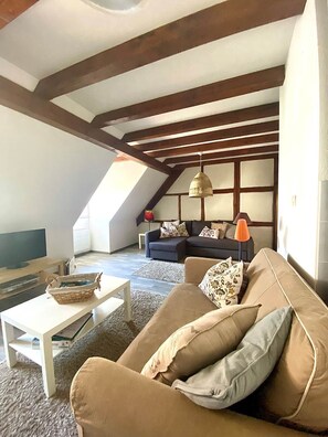 TV, DVD player - Family gîte in winegrower's house - Charlotte 6 persons (Gertwiller)