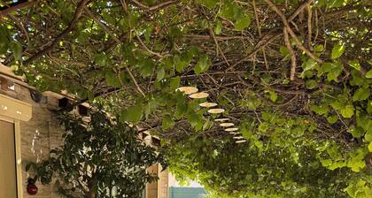 Country house in the heart of Provence with private pool and fenced garden