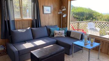 TV connectée, cheminée, lecteur de DVD