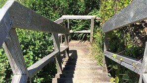 A wooden staircase leading up to a wooden platform, surrounded by greenery. - Classic Honeymoon Beach Cottage. Private, Romantic, Oceanfront.  Pet friendly. (Waldport)