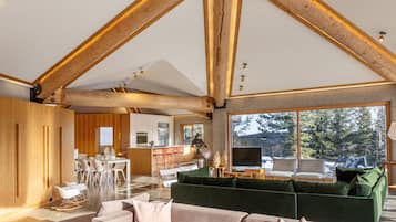 Smart TV, fireplace, DVD player, books