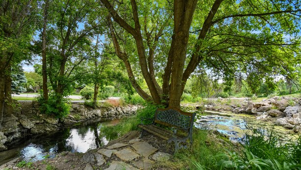 A stone pathway leading to a bench by a small water feature surrounded by trees. - Family Getaway~Hot Tub, Ice Castles & Tubing HS (Midway)