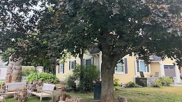 テラス / パティオ