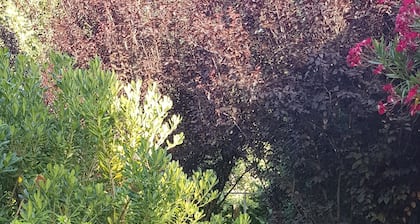 Superb air-conditioned house - 6 people - heated or cooled swimming pool