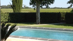Une piscine dont le bord est recouvert de carrelage, entourée d’une haie et d’un arbre.