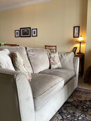TV, DVD player, books, stereo